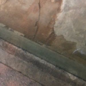 Meet your Posher, Asher